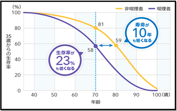 非喫煙者と喫煙者の年齢生存率グラフ