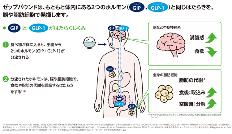 ゼップバウンドとは